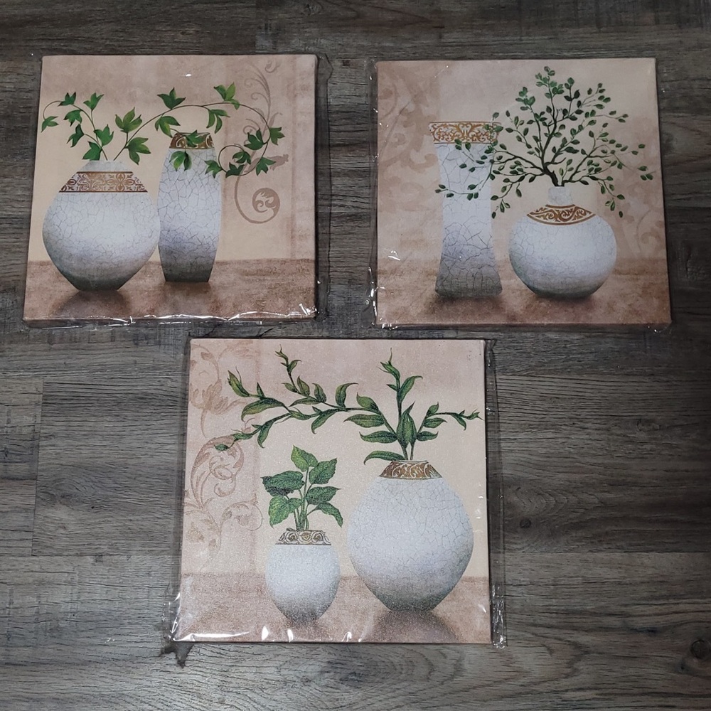 Set of Three Botanical Canvas Art Prints